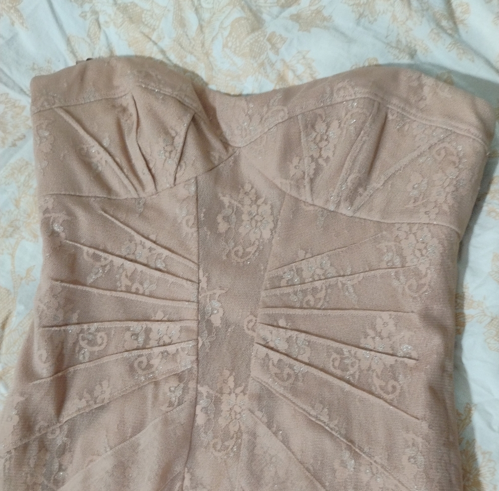 BCBGMaxAzria Strapless Dress in Blush Lace